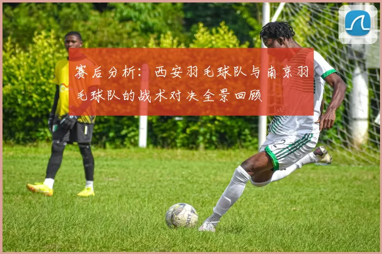 赛后分析：西安羽毛球队与南京羽毛球队的战术对决全景回顾