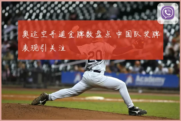 奥运空手道金牌数盘点 中国队奖牌表现引关注