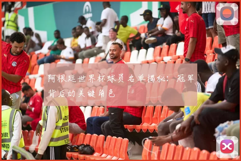 阿根廷世界杯球员名单揭秘：冠军背后的关键角色