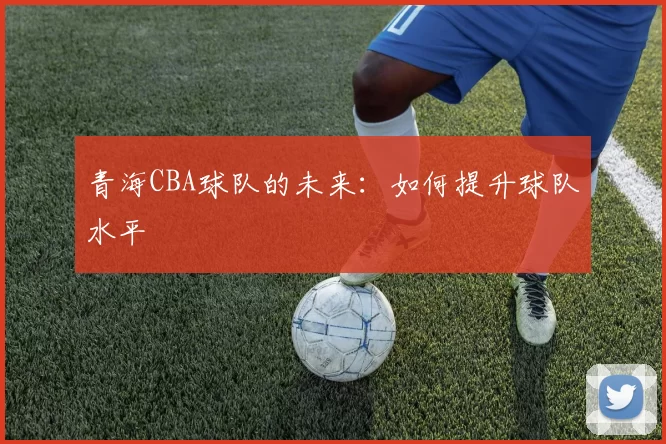 青海CBA球队的未来：如何提升球队水平