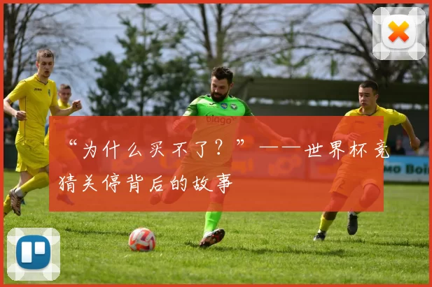 “为什么买不了？”——世界杯竞猜关停背后的故事