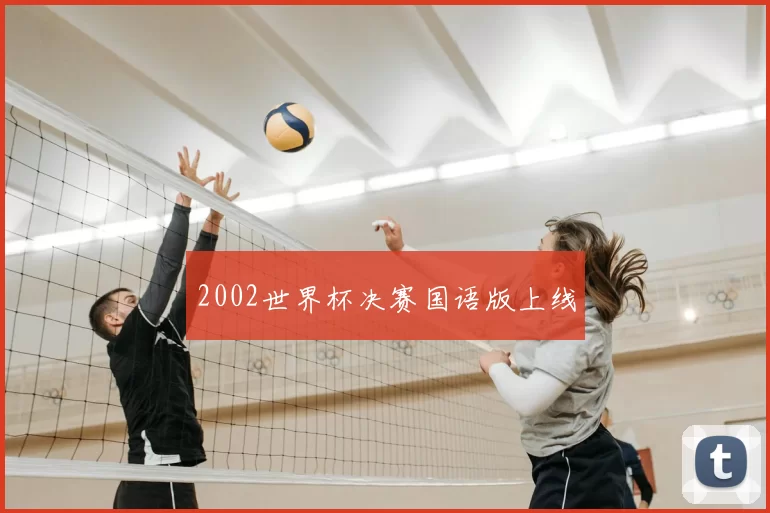 2002世界杯决赛国语版上线