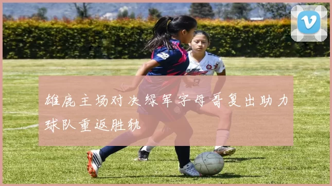 雄鹿主场对决绿军字母哥复出助力球队重返胜轨