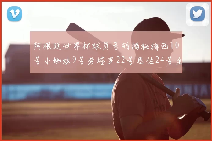 阿根廷世界杯球员号码揭秘梅西10号小蜘蛛9号劳塔罗22号恩佐24号全解析