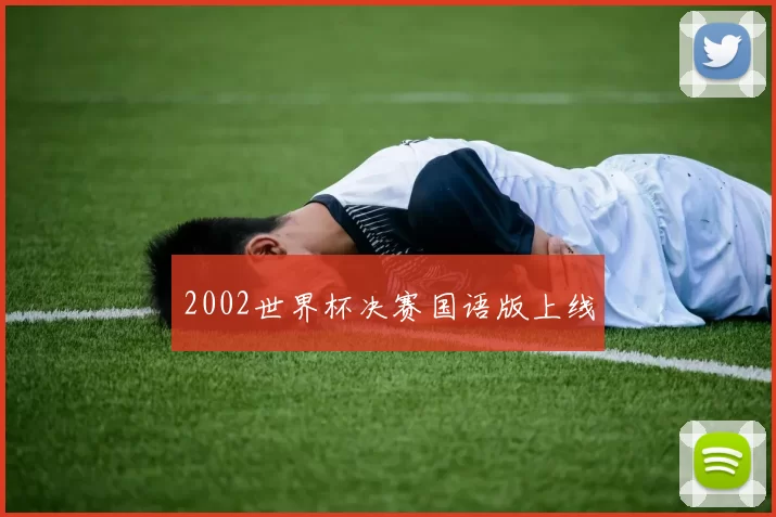 2002世界杯决赛国语版上线