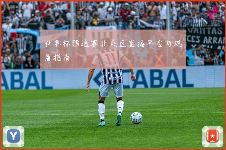 世界杯预选赛北美区直播平台与观看指南