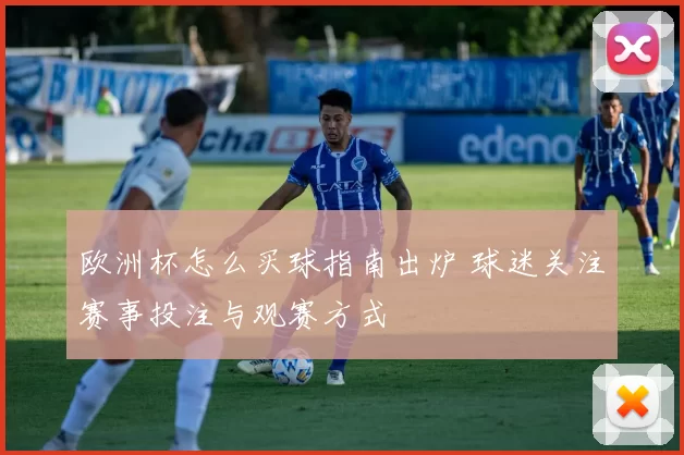 欧洲杯怎么买球指南出炉 球迷关注赛事投注与观赛方式